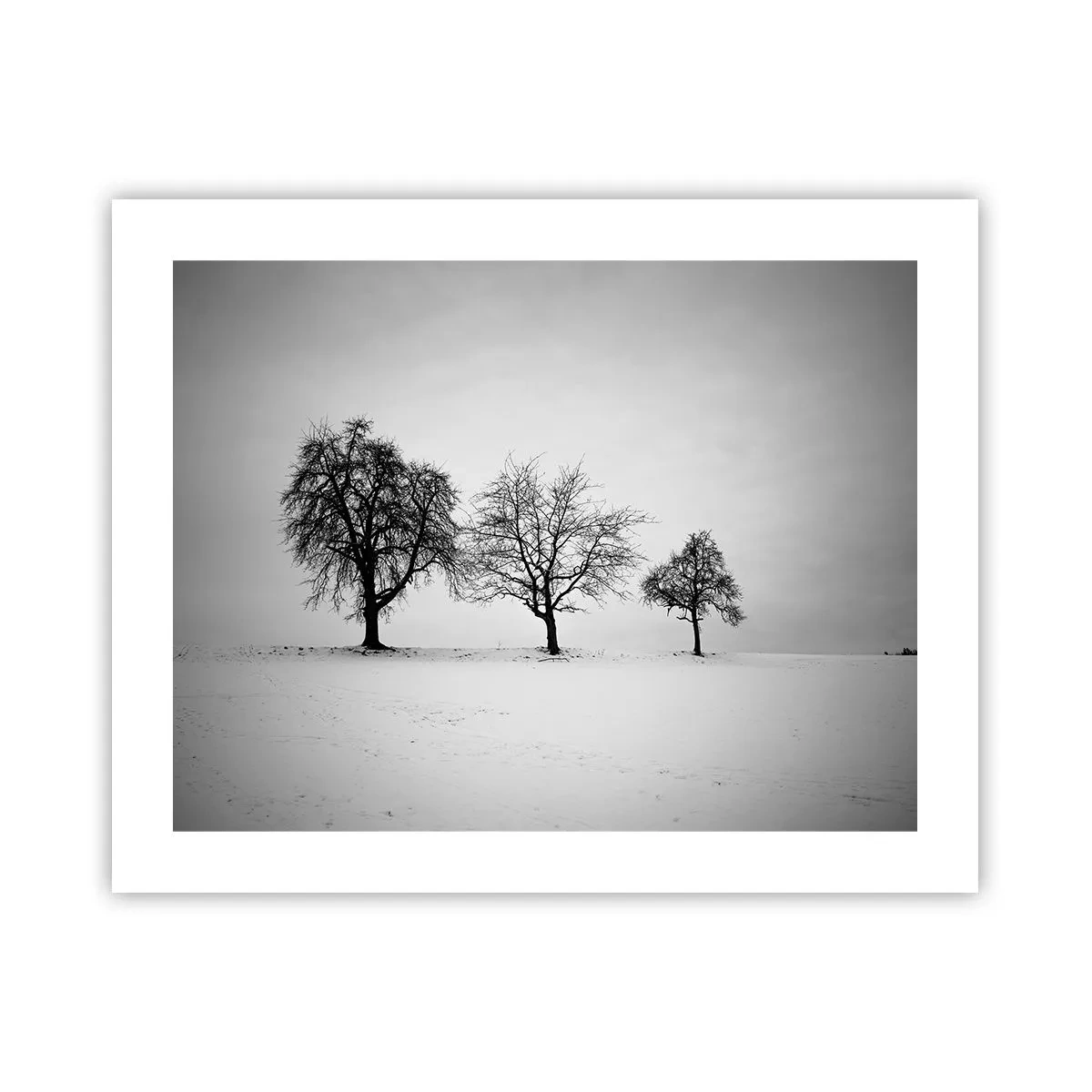 Poster - La ce visează? - 50x40 cm