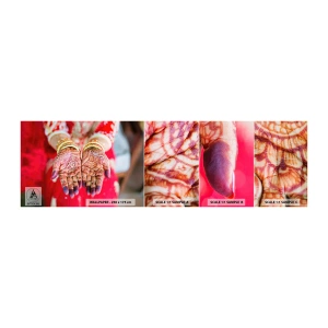 Mostră de Tapet Standard Eco - Gata să prindă fericirea - Mâinile femeilor, Modele orientale, India - 100x30 cm