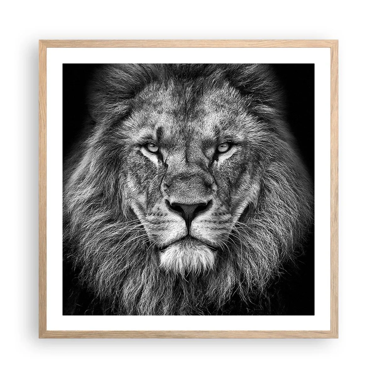 Poster în ramă de stejar deschis - În ținuta de încoronare - 60x60 cm