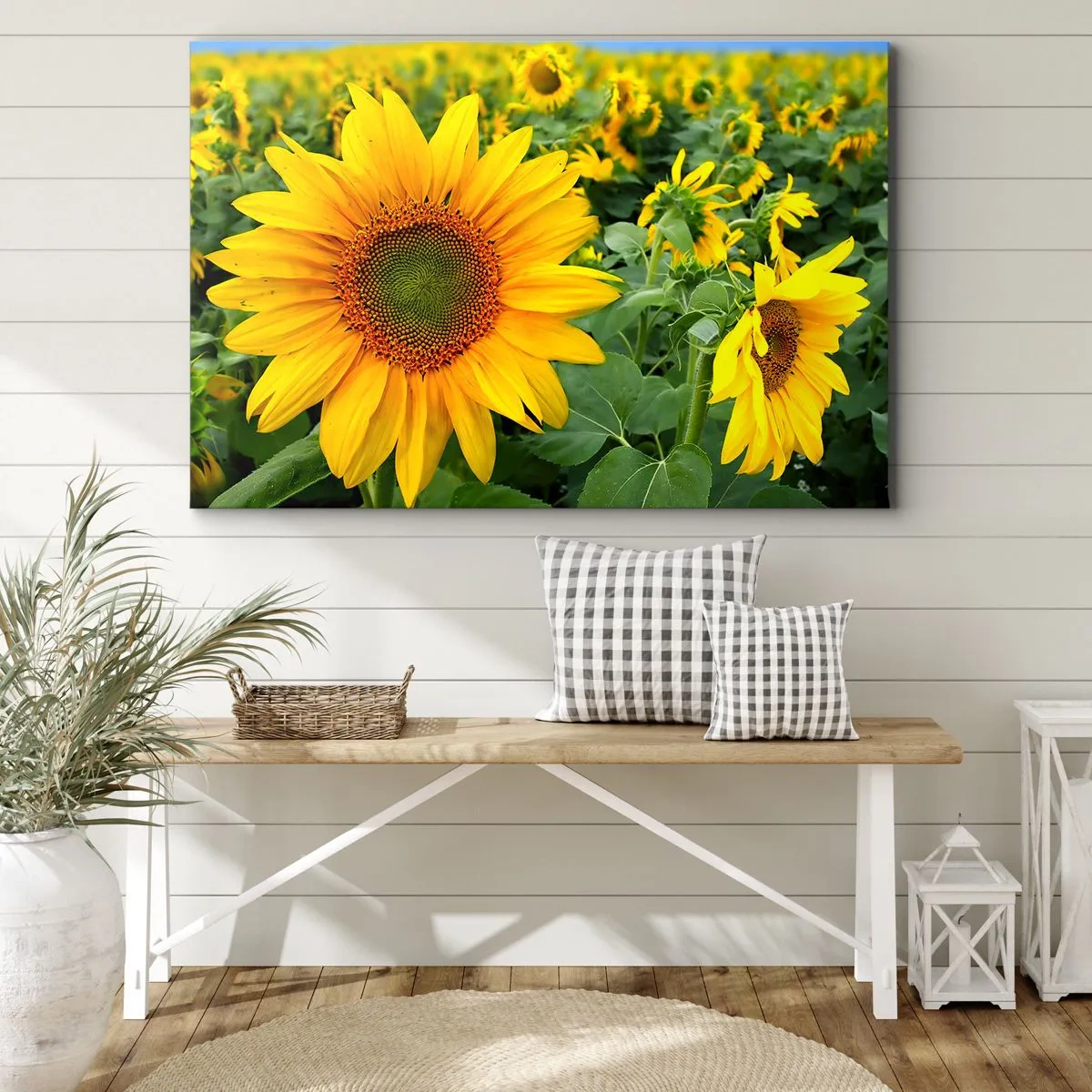 Tablou pe pânză Canvas - Un câmp de floarea-soarelui cu flori galbene pe un fundal de frunze verzi - 70x50cm - Sute de sori se aprind în flăcări - Decorațiune modernă pentru perete pentru living și dormitor ARTTOR