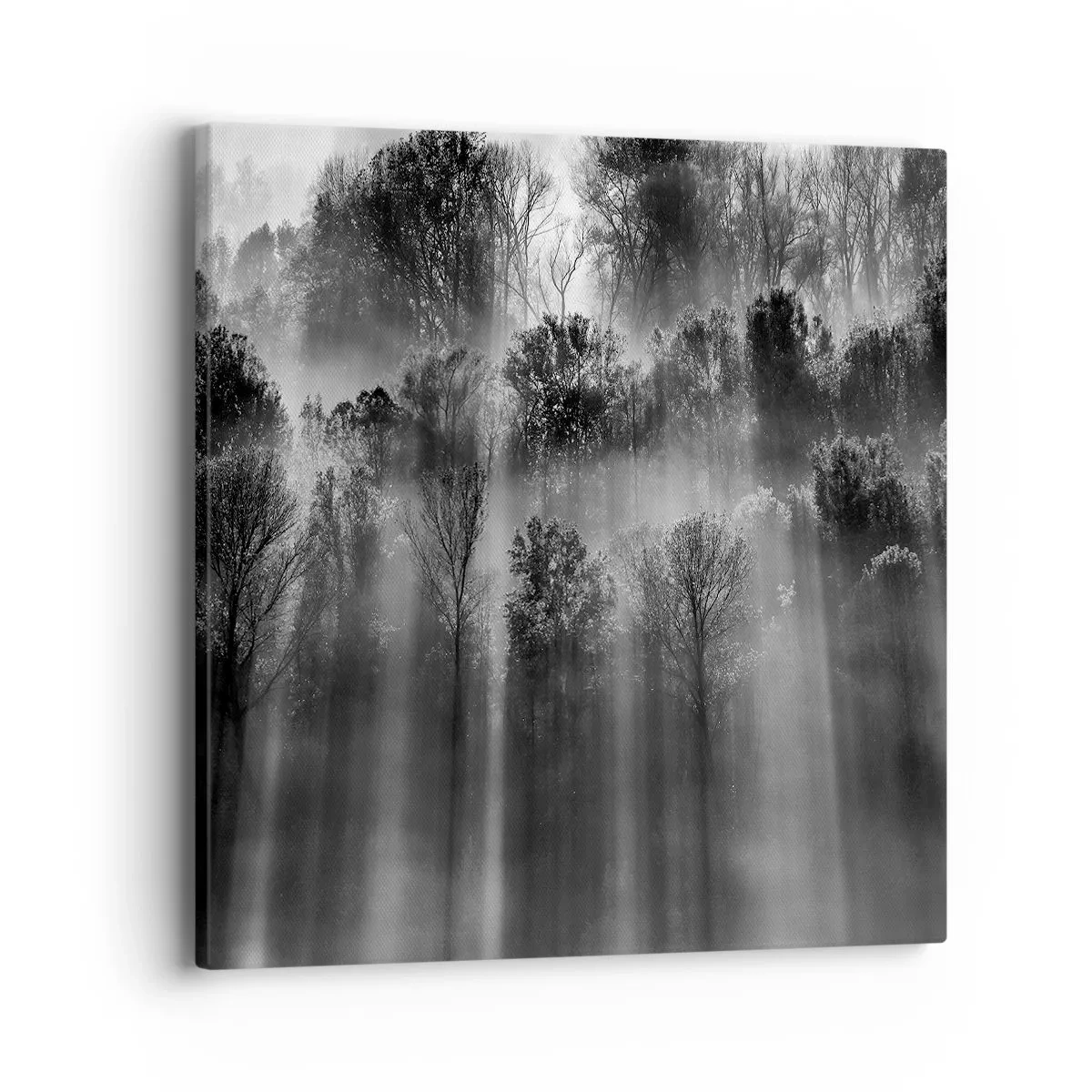 Tablou pe pânză - În fluxuri de lumină - 40x40 cm