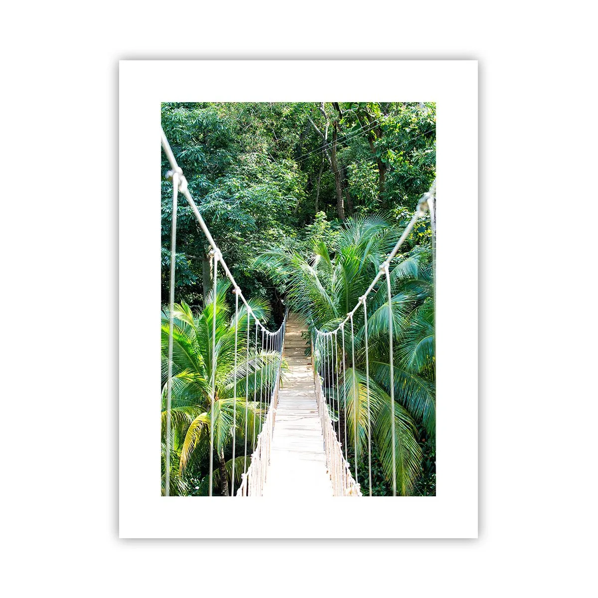 Poster - Welcome to the jungle! - 30x40 cm