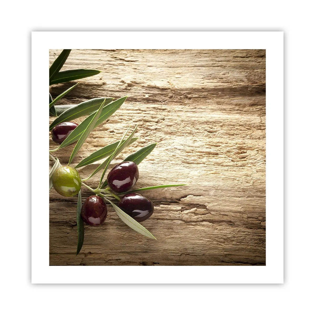 Poster - Direct din natură - 50x50 cm