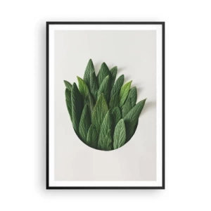 Poster în ramă neagră - Curiozitatea nestăvilită - 70x100 cm