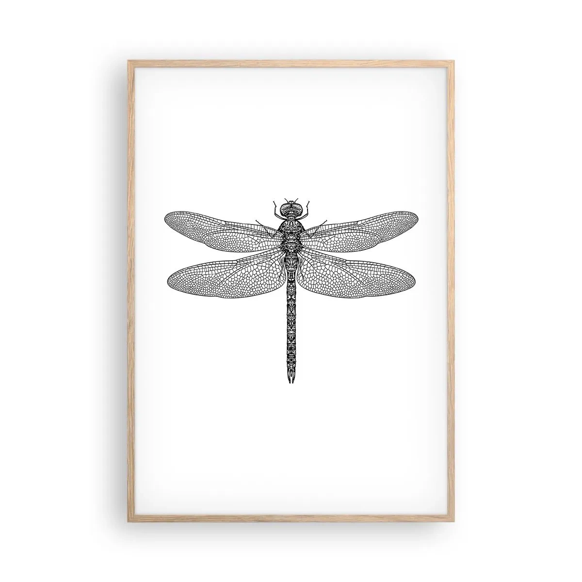 Poster în ramă de stejar deschis - Precizia naturii - 70x100 cm
