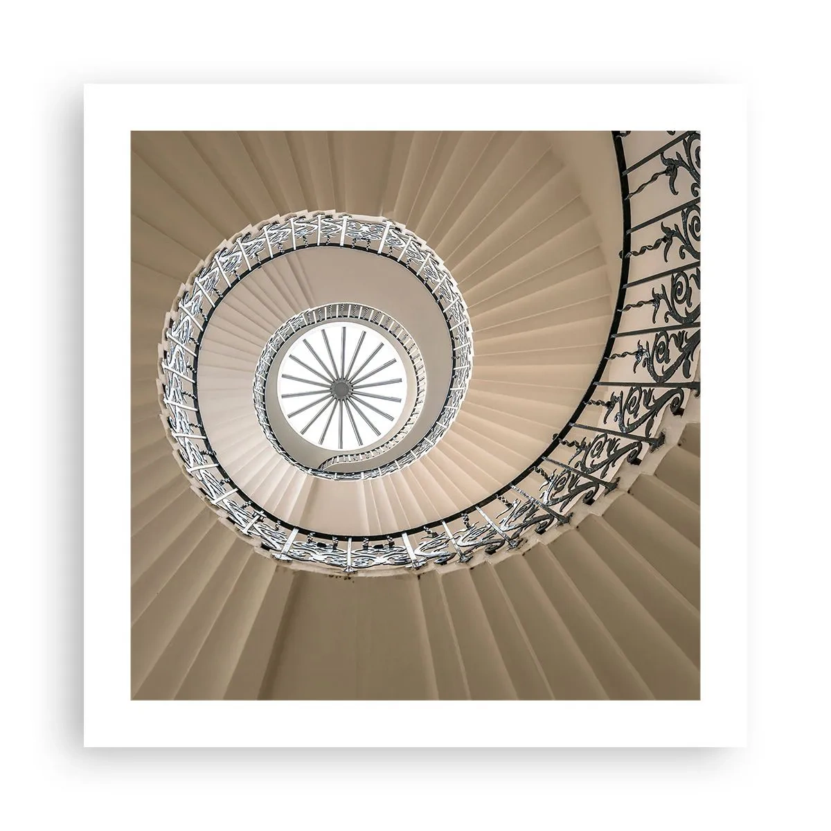 Poster - În interiorul cochiliei - 50x50 cm