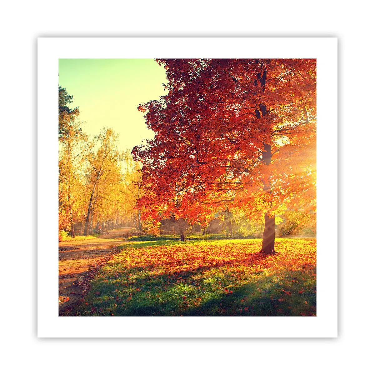 Poster - Roșcatul este frumos - 50x50 cm
