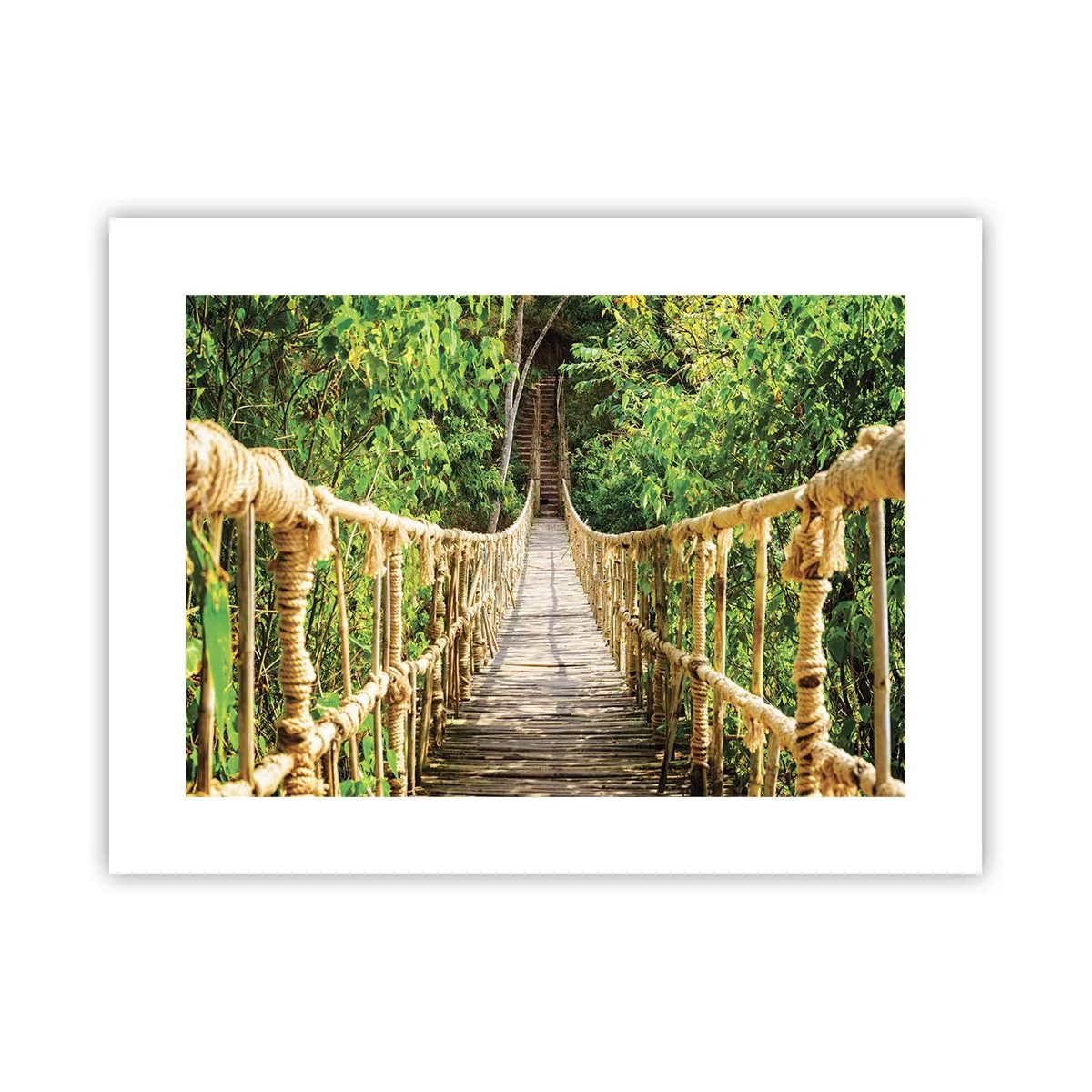 Poster - Suspendat în verde - 40x30 cm