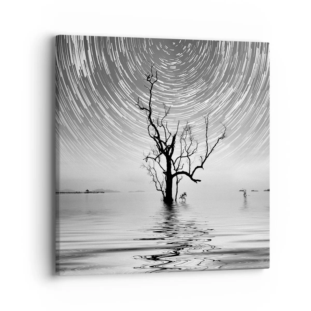 Tablou pe pânză - O simfonie a naturii - 40x40 cm