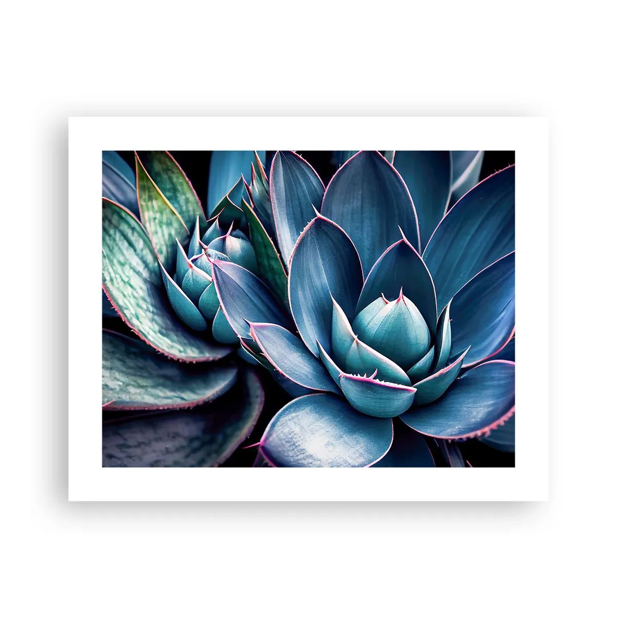 Poster - Forța vitală - 50x40 cm