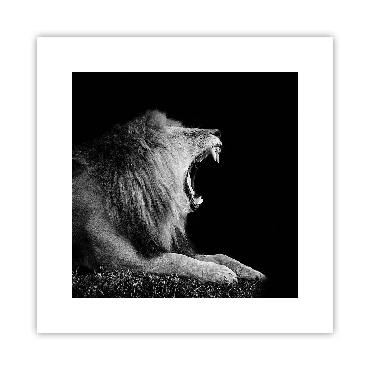 Poster - Fără nici o ezitare - 30x30 cm