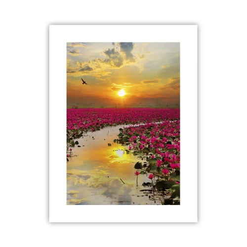 Poster - Viața secretă a lacului - 30x40 cm