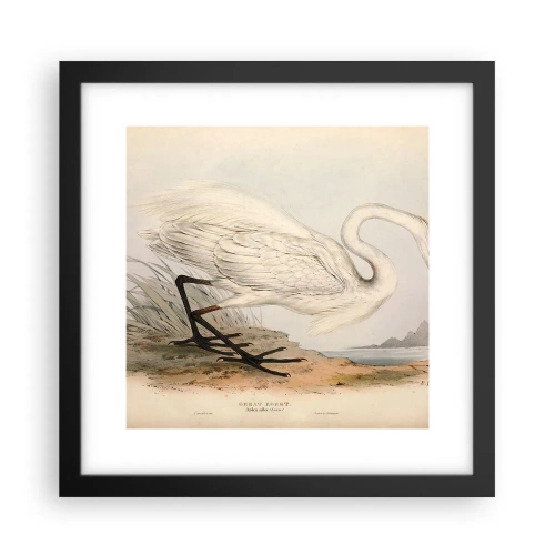 Poster în ramă neagră - Doamna în stufărișuri - 30x30 cm