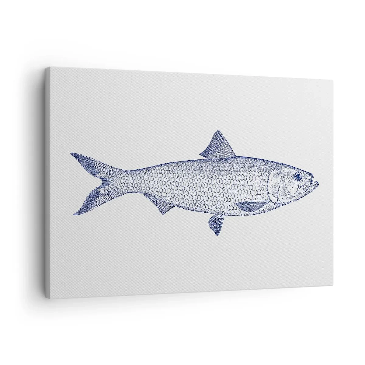 Tablou pe pânză Canvas - Ilustrație a unui pește în nuanțe de albastru pe un fundal deschis - 70x50cm - Salutări din mările nordice - Decorațiune modernă pentru perete pentru living și dormitor ARTTOR