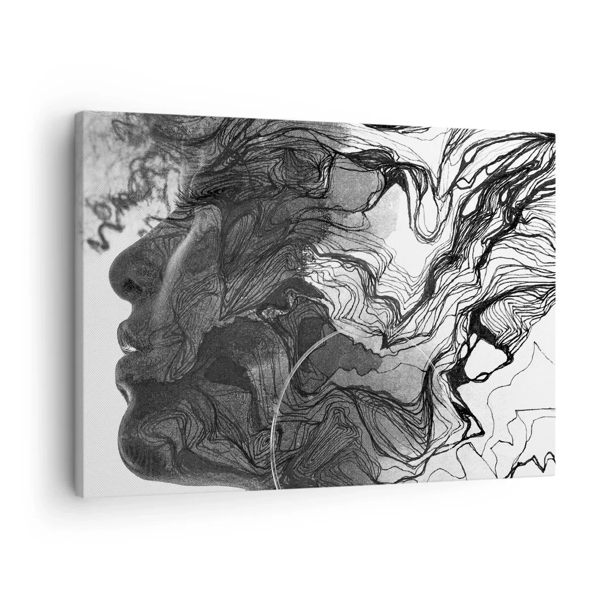 Tablou pe pânză Canvas - Față abstractă în alb și negru cu linii dinamice. - 70x50cm - Încurcată în vise - Decorațiune modernă pentru perete pentru living și dormitor ARTTOR