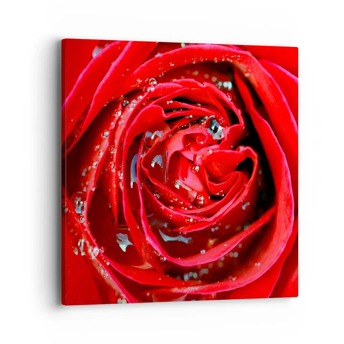 Tablou pe pânză - În picături de rouă - 40x40 cm