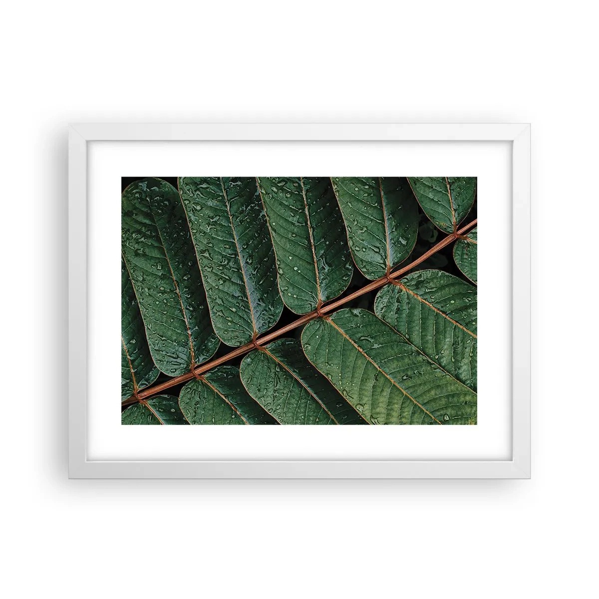 Poster în ramă albă - Într-un ritm verde - 40x30 cm
