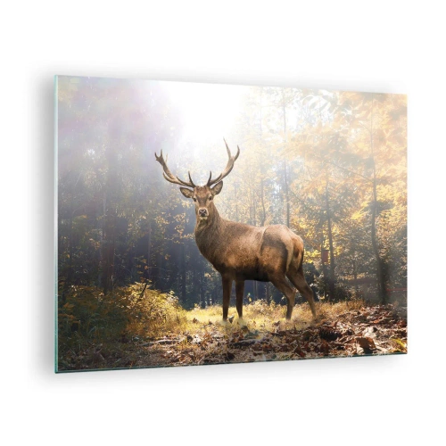 Tablou pe sticlă - Un cerb impunător într-o pădure de toamnă însorită - 70x50cm - Măreție calmă - Decorațiune modernă pentru perete pentru living și dormitor ARTTOR