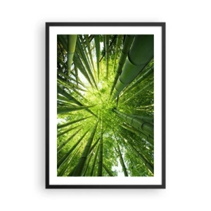 Poster în ramă neagră - Priveliște în sus, în pădurea densă de bambus - 50x70cm - Într-o pădure de bambus - Decorațiune modernă pentru perete pentru living și dormitor ARTTOR