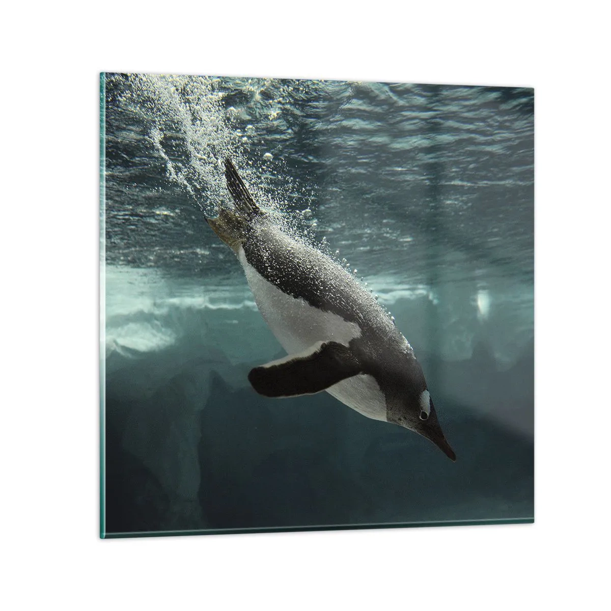 Tablou pe sticlă - Bun venit în lumea mea - 50x50 cm