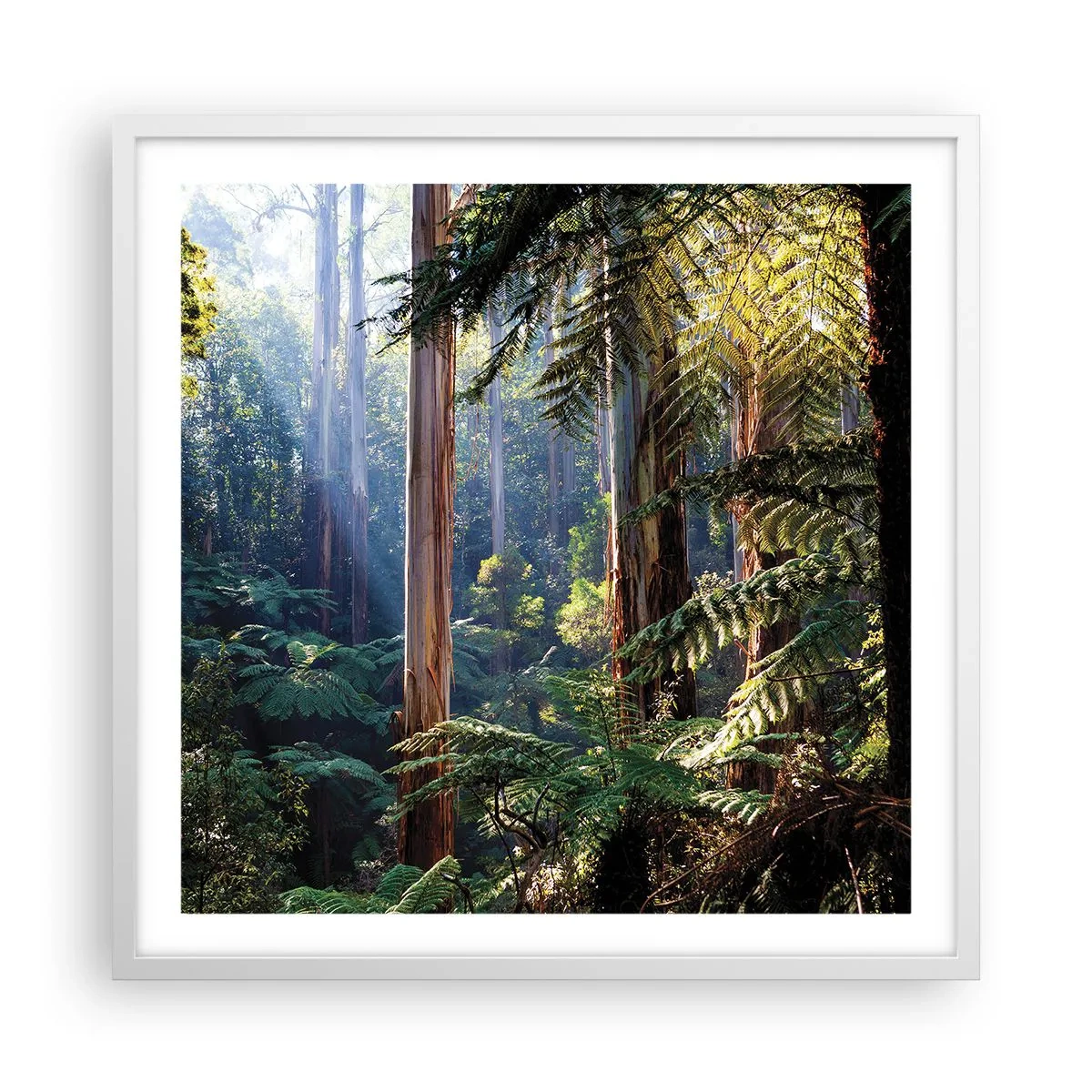 Poster în ramă albă - O poveste din pădure - 60x60 cm