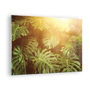 Tablou pe sticlă - Frunze verzi de monstera în lumina aurie a soarelui tropical - 70x50cm - Poftiți în verde - Decorațiune modernă pentru perete pentru living și dormitor ARTTOR