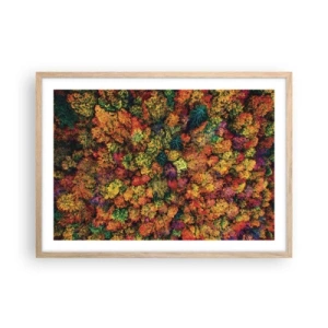 Poster în ramă de stejar deschis - Buchet de copaci de toamnă - 70x50 cm