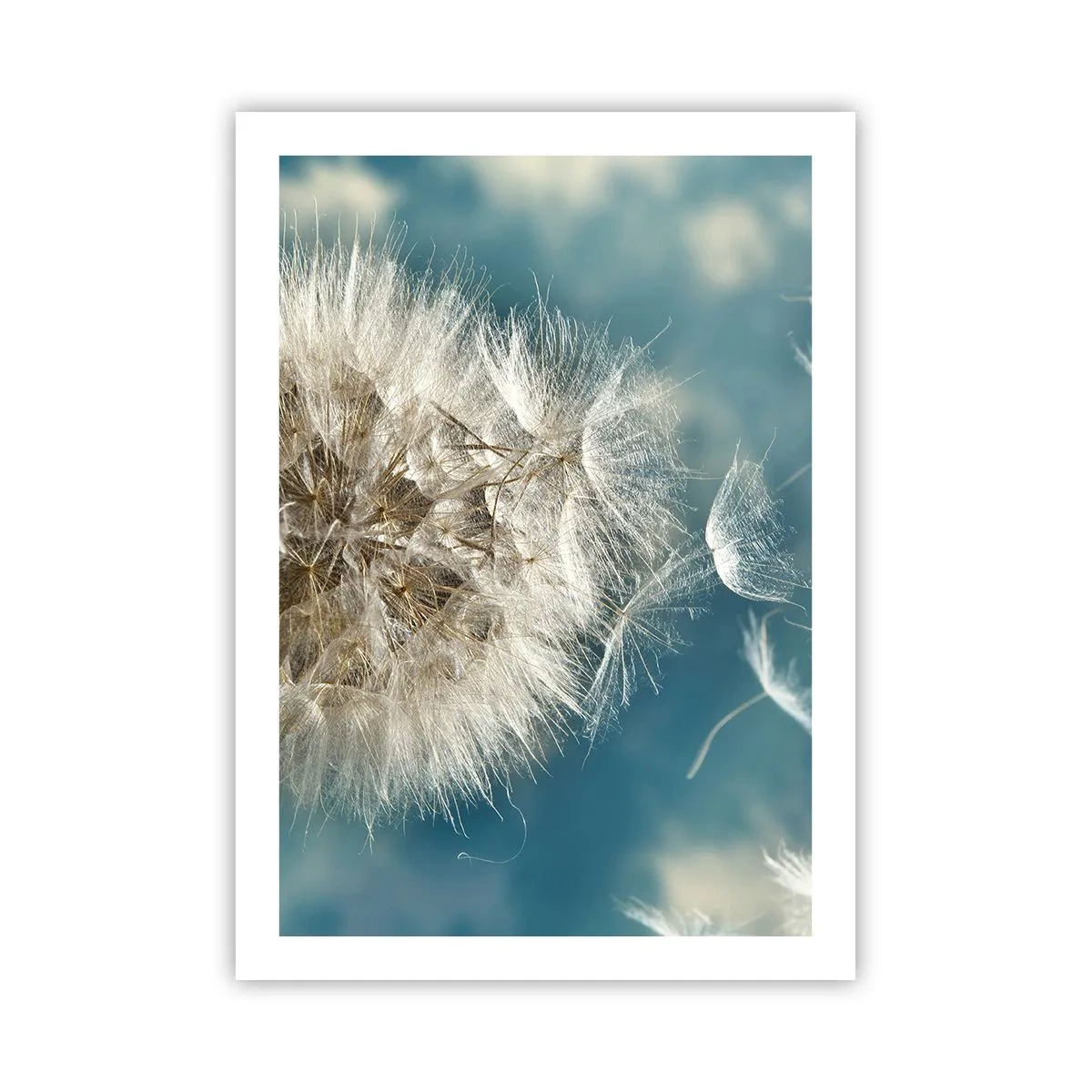 Poster - Respirația unui înger - 50x70 cm