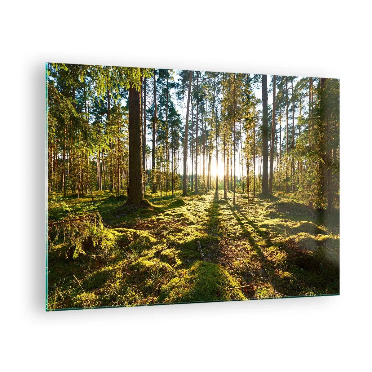 Tablou pe sticlă - Razele soarelui pătrund printre copacii din pădure - 70x50cm - Pădurea misterioasă - Decorațiune modernă pentru perete pentru living și dormitor ARTTOR