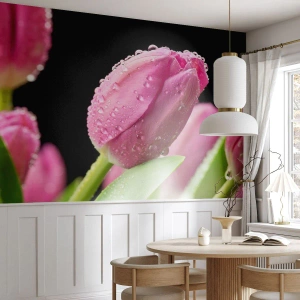 Tapet Autoadeziv Deluxe Sticker - Un vis de liliac în rouă - Flori, Lalele, Buchet de flori - 500x350 cm