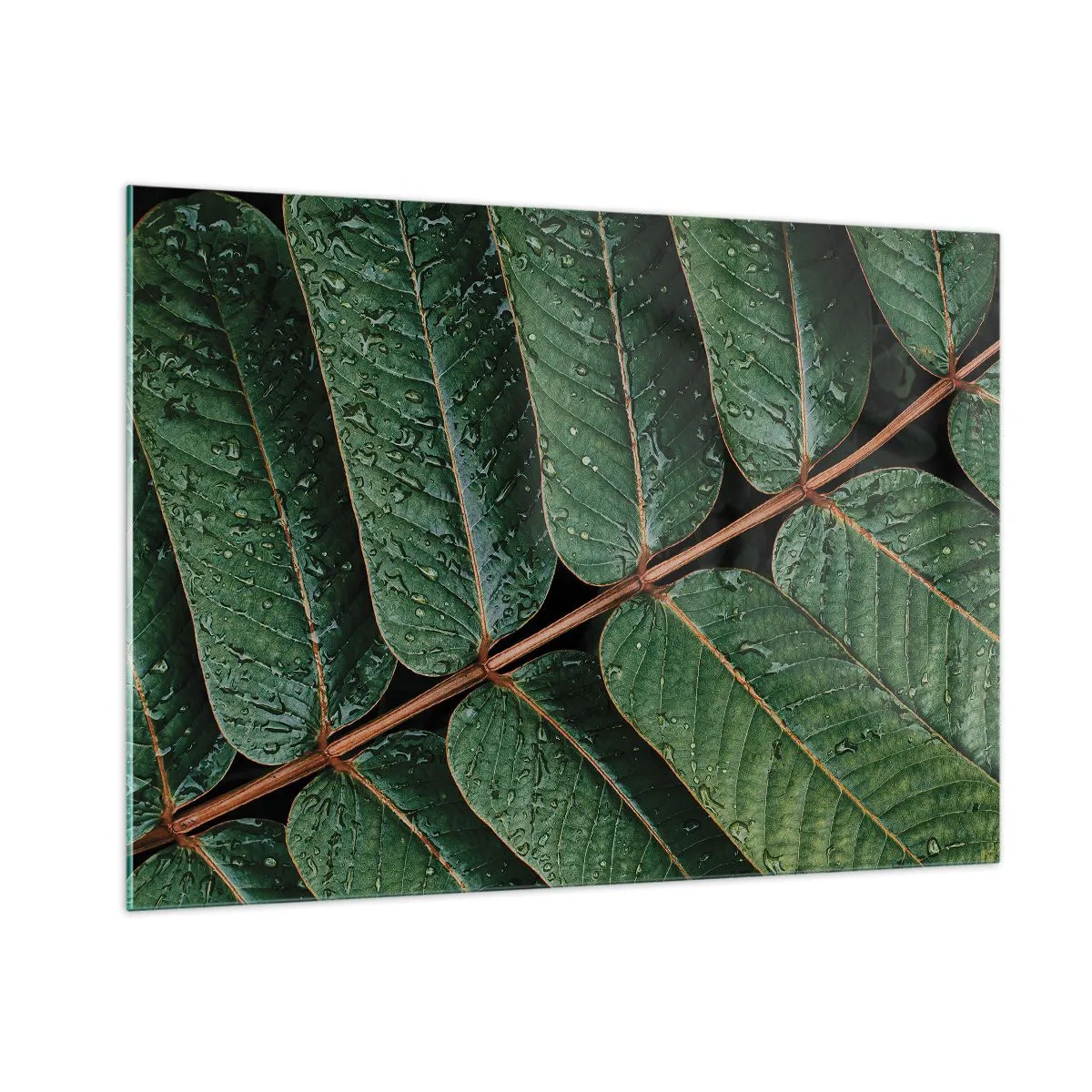 Tablou pe sticlă - Într-un ritm verde - 100x70 cm