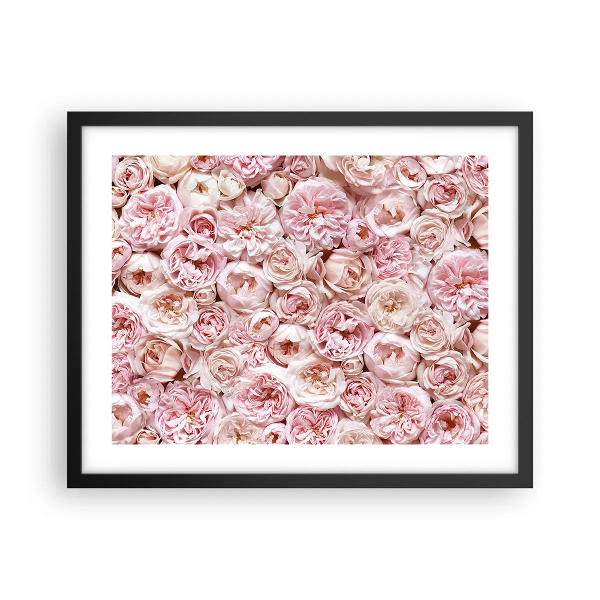 Poster în ramă neagră - Presărat cu trandafiri - 50x40 cm