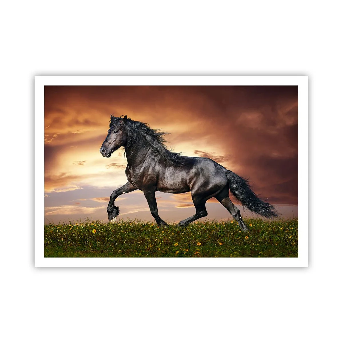 Poster - Prințul negru - 100x70 cm