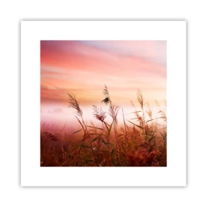 Poster - Zmeuri, suflante, vânt - 30x30 cm