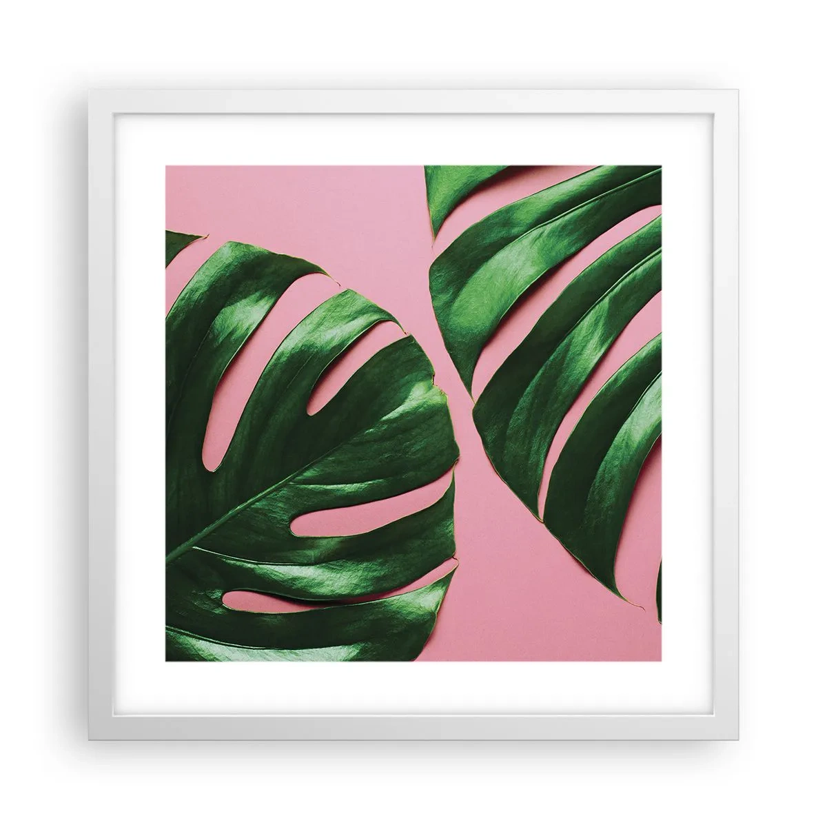Poster în ramă albă - Întâlnire verde - 40x40 cm