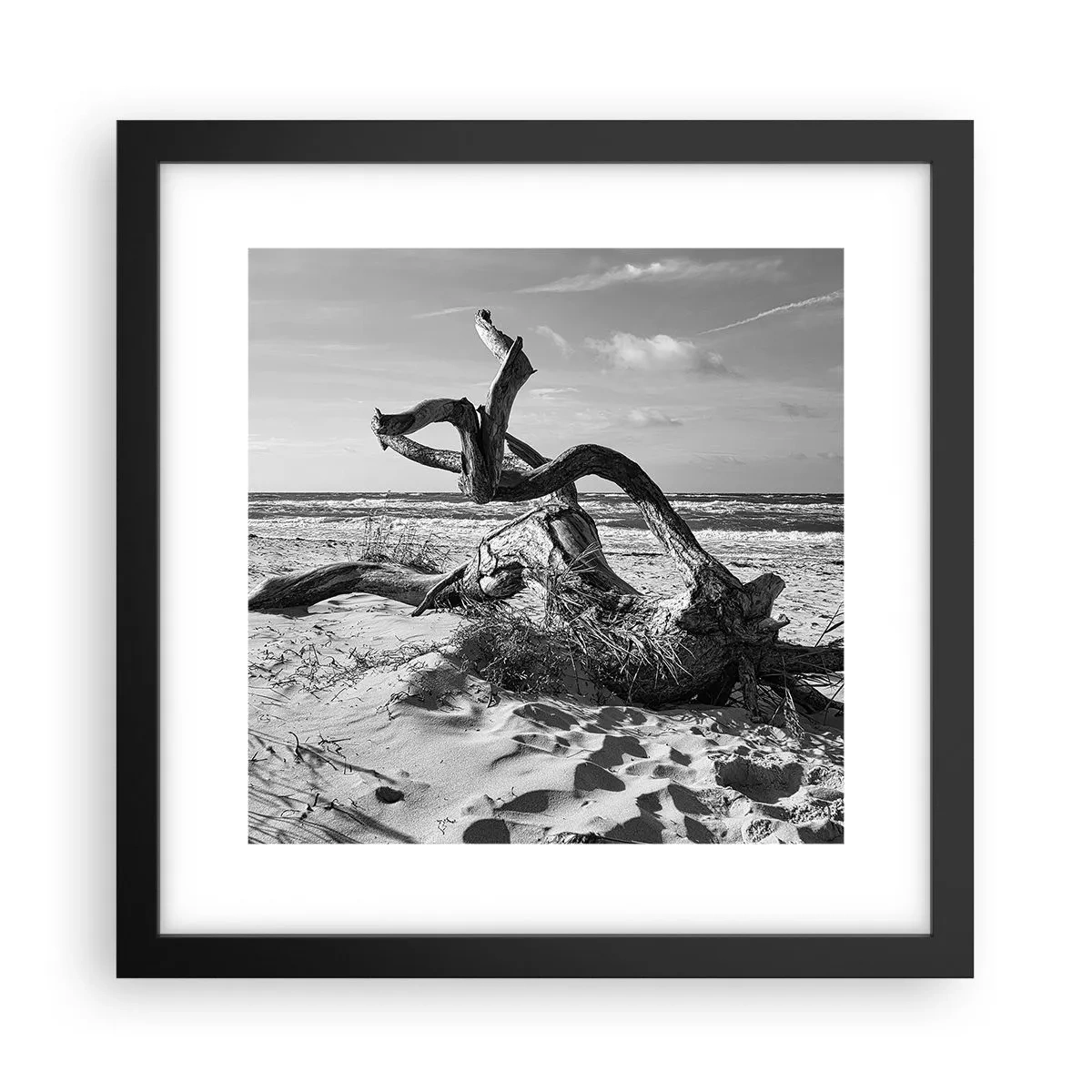 Poster în ramă neagră - Sculptură marină - 30x30 cm