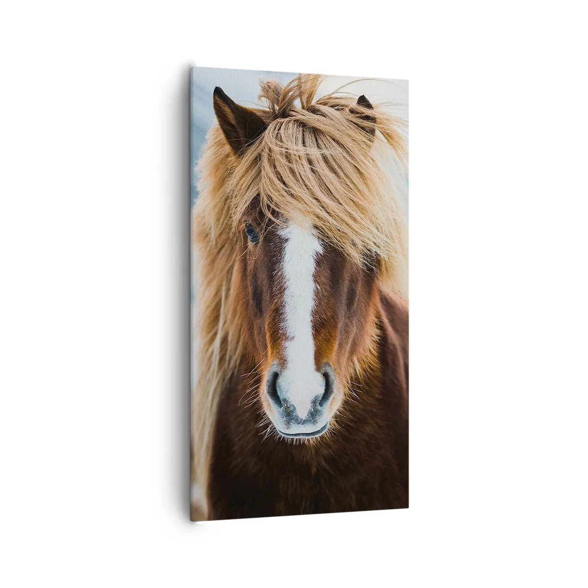 Tablou pe pânză - Simțiți libertatea? - 65x120 cm