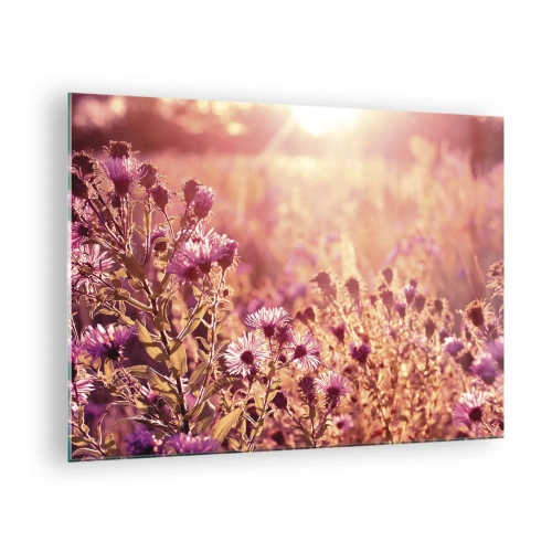 Tablou pe sticlă - Flori mov în pajiște în lumina soarelui care apune - 70x50cm - Înainte ca vara să plece - Decorațiune modernă pentru perete pentru living și dormitor ARTTOR