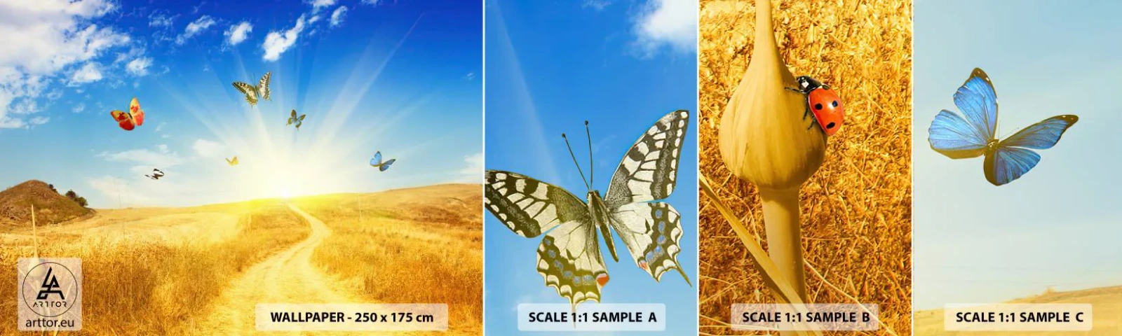 Mostră de Tapet Standard Eco - Și cum să nu iubești vara? - Peisaj, Fluturi, Natură - 100x30 cm