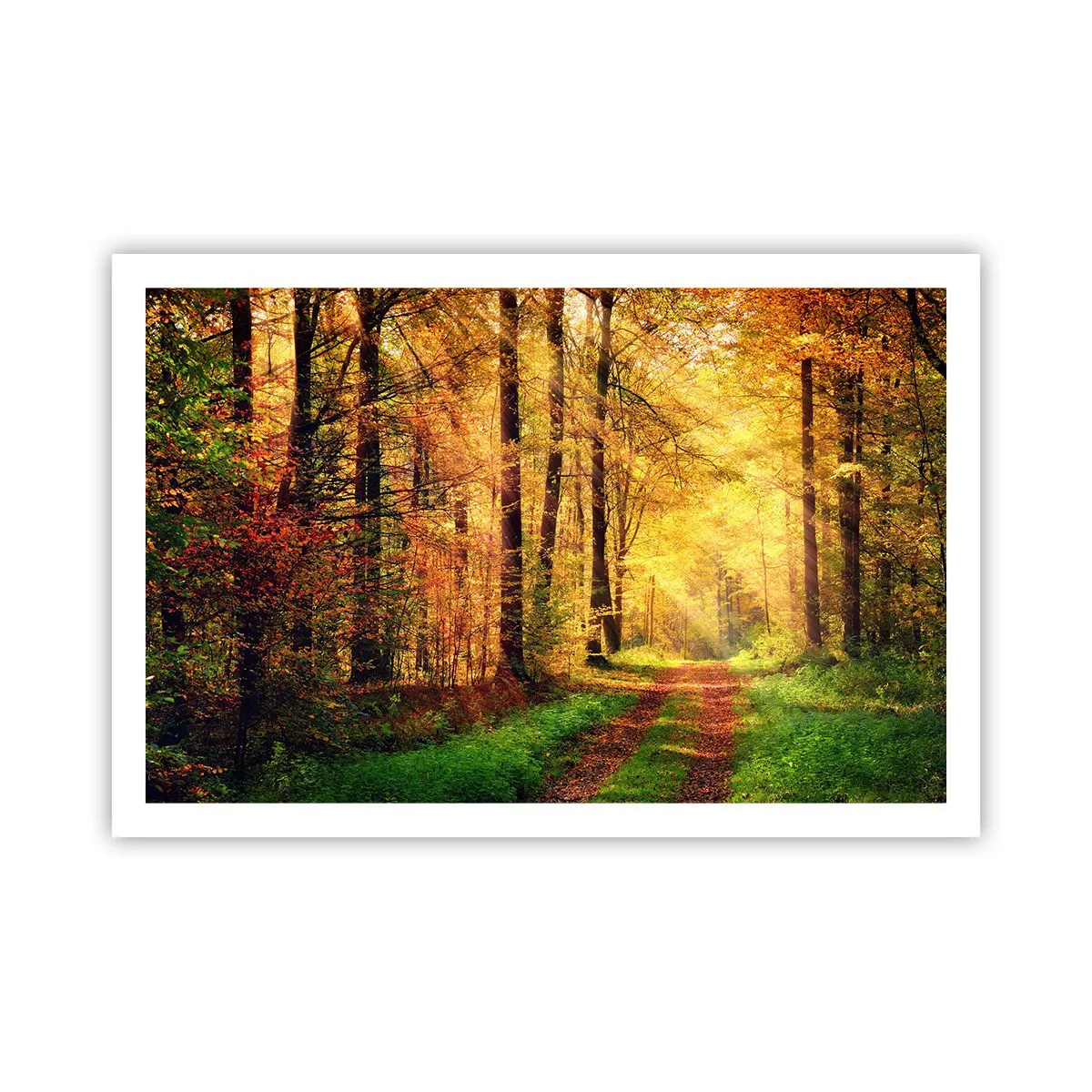 Poster - Tăcere de aur de pădure - 91x61 cm
