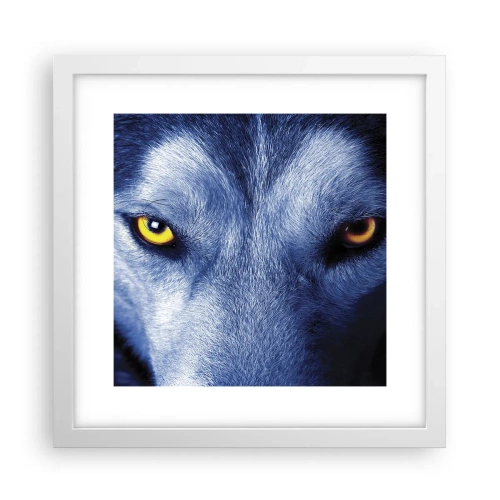 Poster în ramă albă - O privire hipnotizantă - 30x30 cm