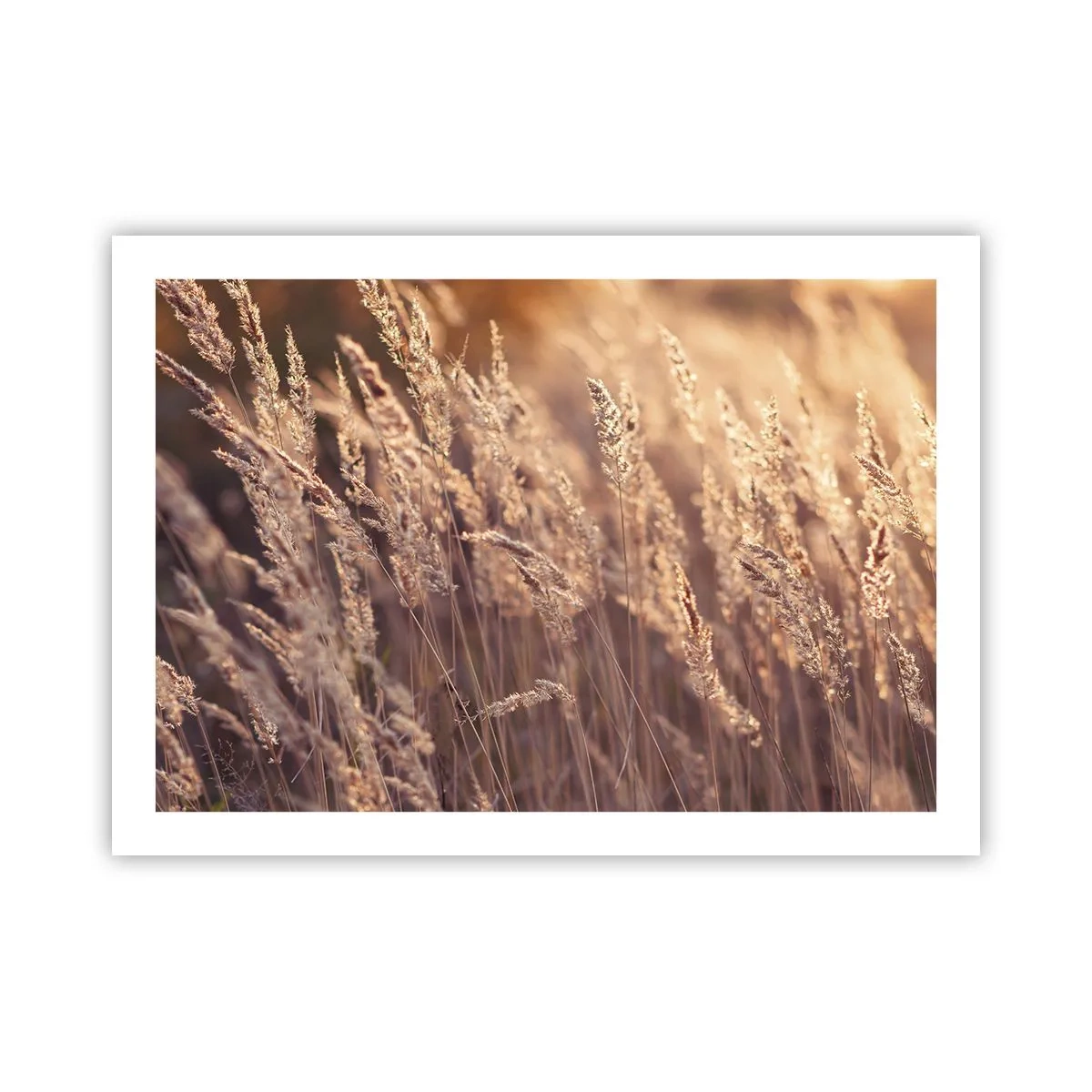 Poster - Gata să întâmpine toamna - 70x50 cm