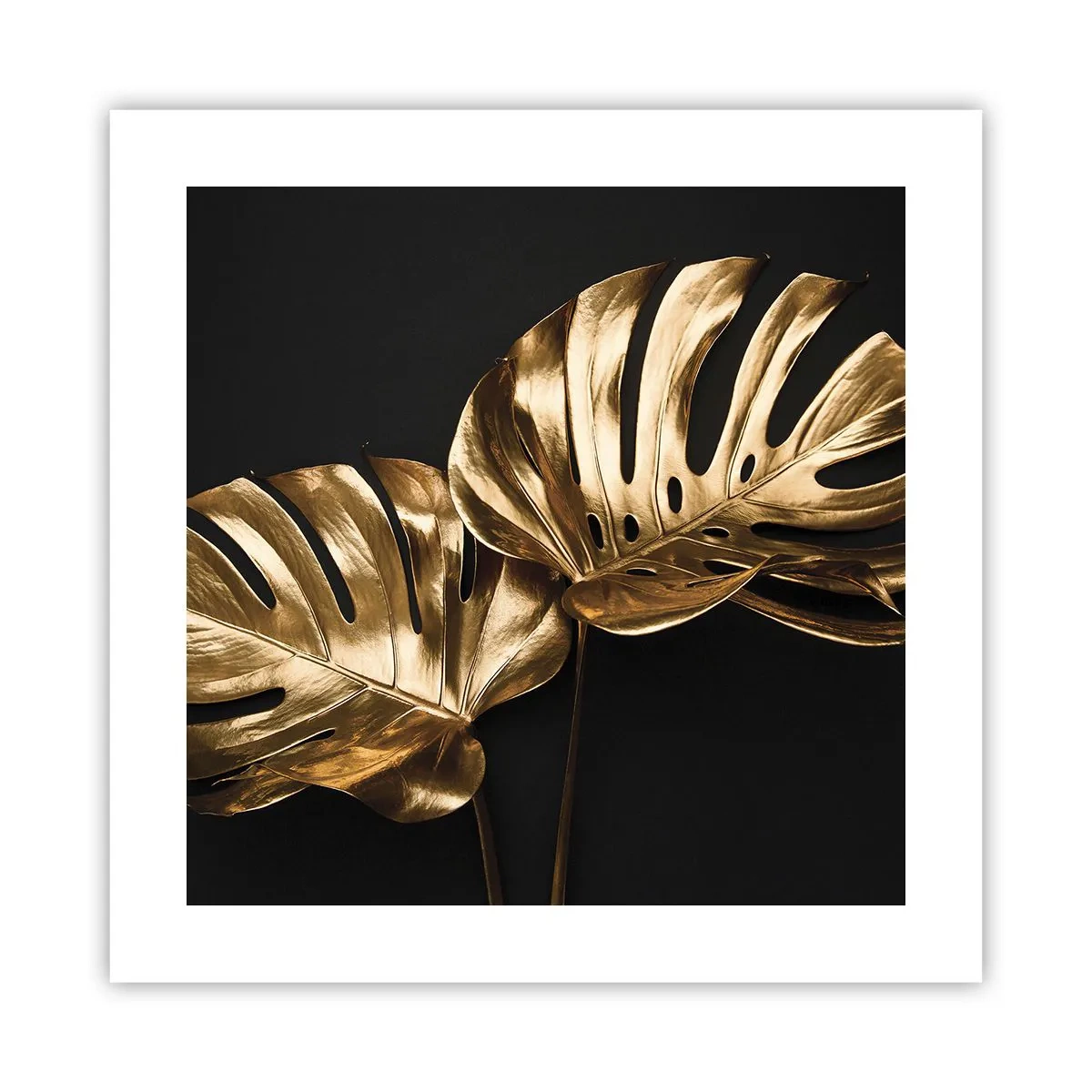 Poster - Comorile naturii - 40x40 cm