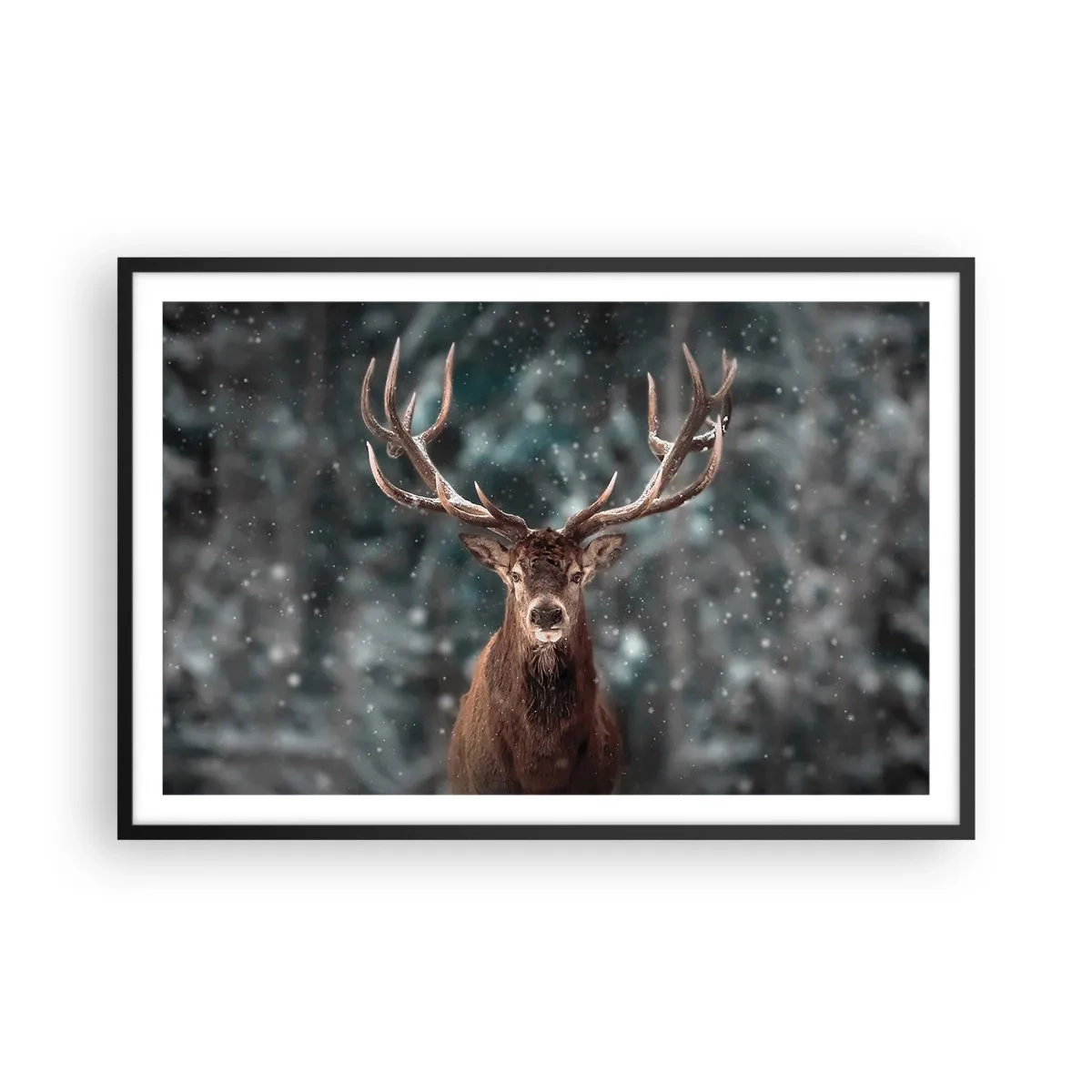 Poster în ramă neagră - Regele pădurii a fost încoronat - 91x61 cm