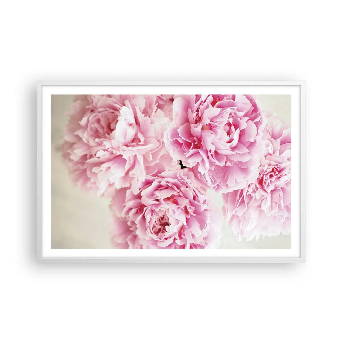 Poster în ramă albă - În luxul roz - 91x61 cm