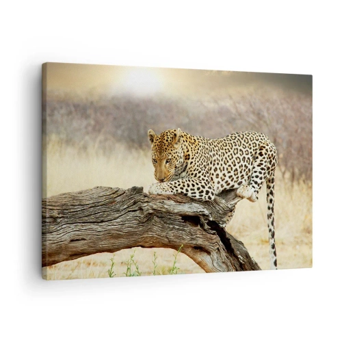 Tablou pe pânză Canvas - Un leopard odihnindu-se pe trunchiul unui copac în savană - 70x50cm - Mă duc pe drumul meu - Decorațiune modernă pentru perete pentru living și dormitor ARTTOR