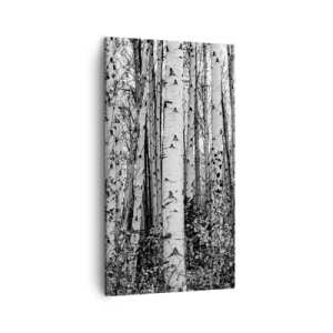 Tablou pe pânză - Coloane de mesteacăn - 45x80 cm