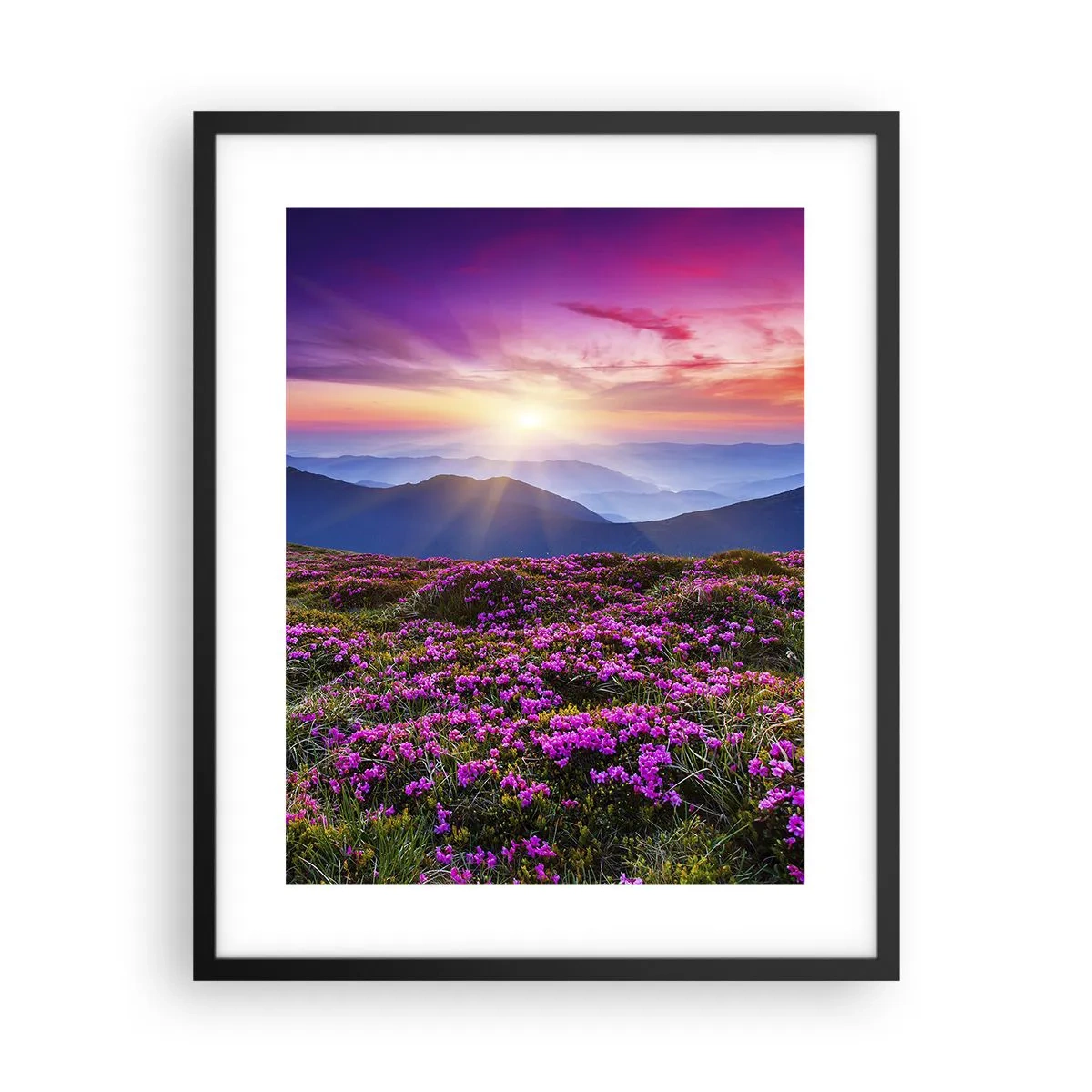 Poster în ramă neagră - Ierburile proaspete miroseau puternic - 40x50 cm