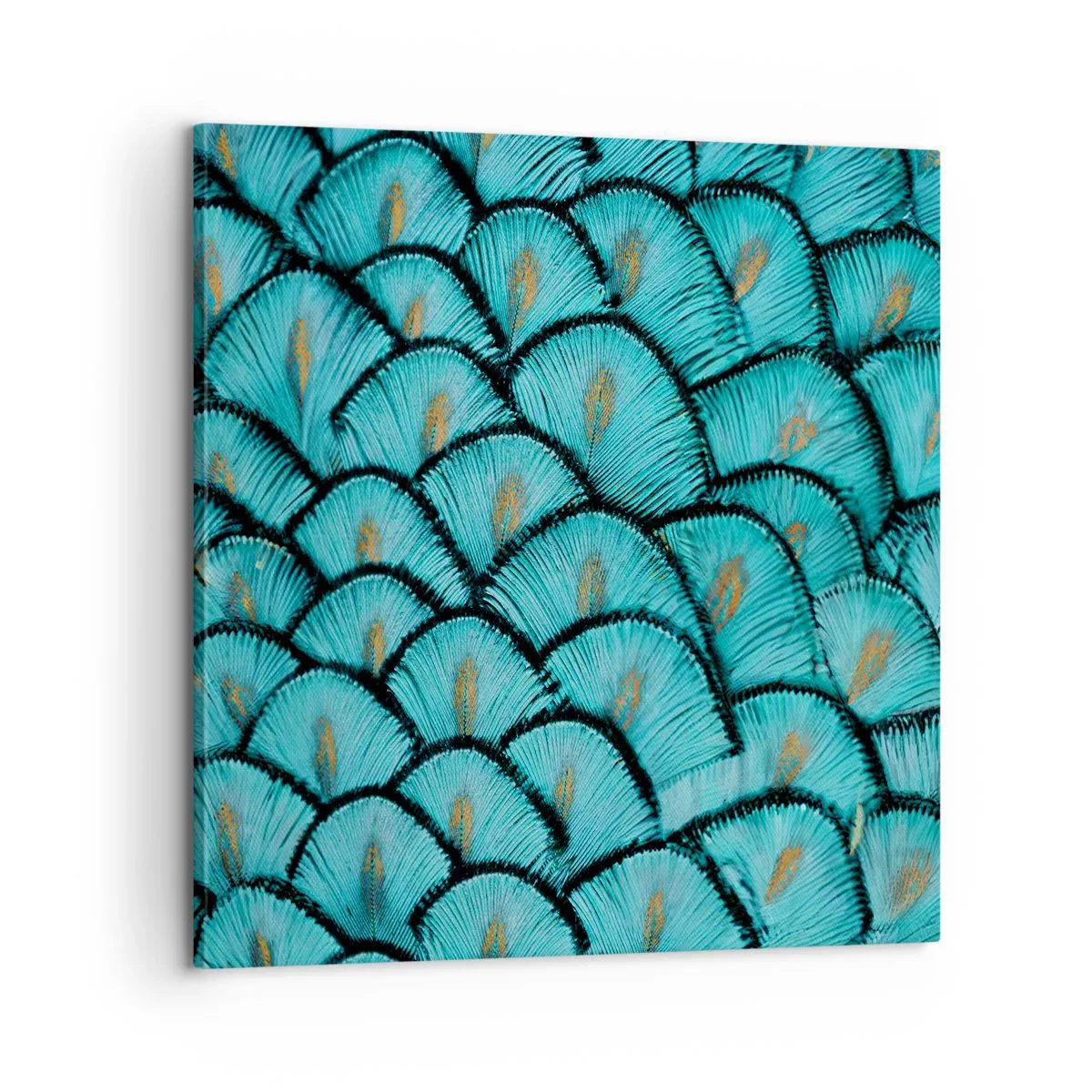 Tablou pe pânză - Marea gală a penelor - 60x60 cm