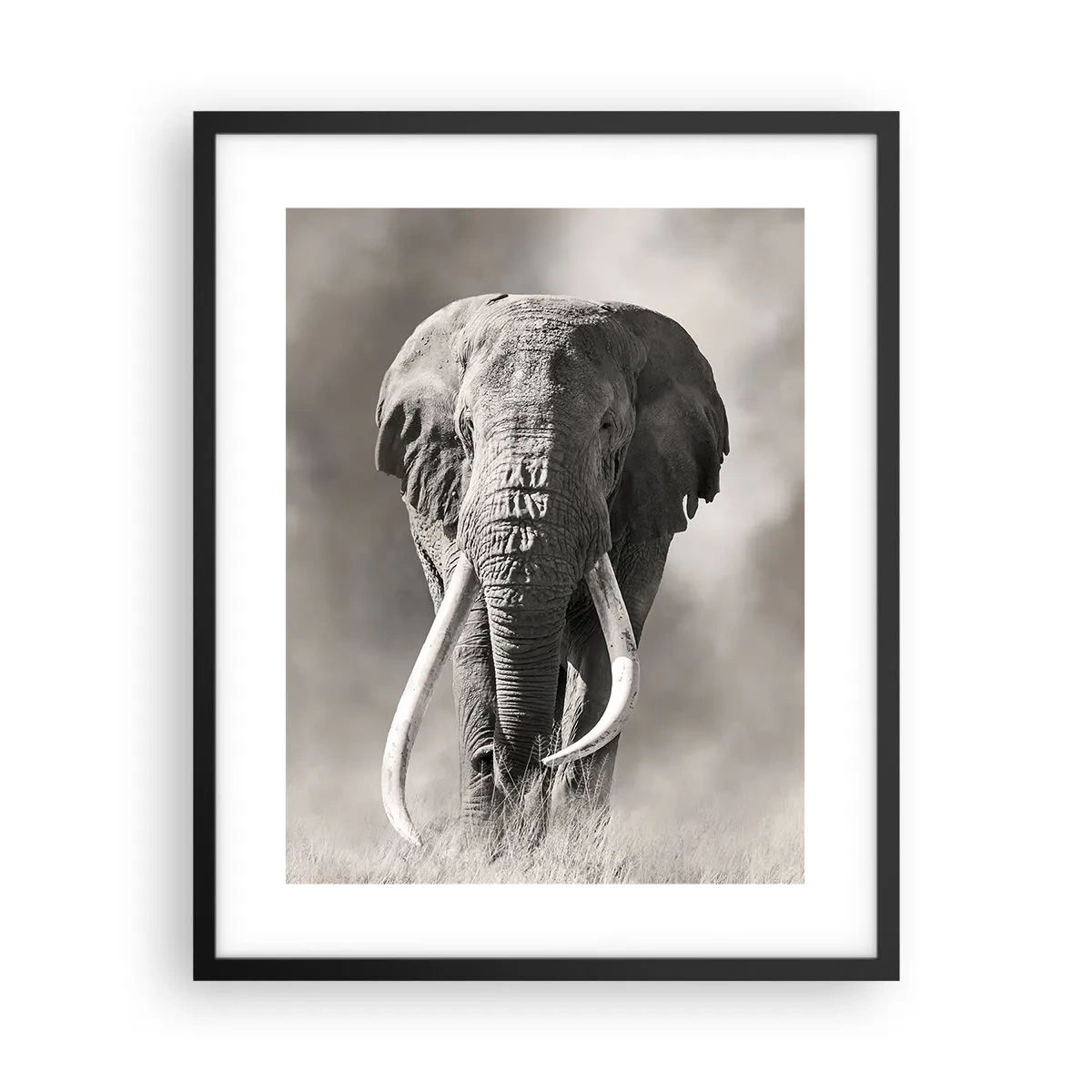 Poster în ramă neagră - Patriarh african - 40x50 cm